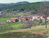 Sežanska upravna enota ima enega največjih deležev agrarnih skupnosti v Sloveniji. Med seboj so močno razlikujejo po velikosti in aktivnosti. Vse pa budno čakajo sprejem novega zakona in novosti, ki jih bo prinesel. Foto: Marica Uršič Zupan