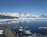 Načrti za vzpostavitev dveh obsežnih morskih zaščitenih območij na Antarktiki za zaščito naravnega okolja so danes že tretjič padli v vodo, saj sta predloge blokirali Rusija in Kitajska Foto: STA