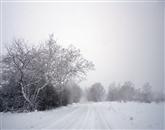 V okolici Kozine je včeraj od poldneva dalje spet močno snežilo. 