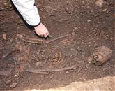 Arheologi so v raziskanih grobovih v Mirnu našli dobro ohranjene skelete, ob njih pa številne še nepoškodovane  elemente, ki so značilni za nošo Vzhodnih Gotov Foto: Leo Caharija