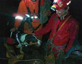 Jamarski reševalci so iz brezna v jami rešili  psa Foto: Jamarska Reševalna Služba