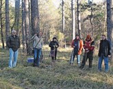 Agrarna skupnost Divača je v zadnjih letih s pomočjo gozdarske stroke v gozd tudi vlagala - med drugim so gozd pomlajevali s sajenjem želoda Foto: Arhiv As Divača