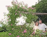 Britta Höschele in Erik Modic v družbi vrtnice plezalke, poimenovane American Pillar, poznane od leta 1902. Njen žlahnitelj je bil Van Fleet. Foto: Bogdan Macarol