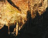 Postojnsko jamo si je letos ogledalo že pol milijona turistov Foto: Nebojsa Tejic