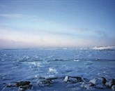 Arktika Foto: Arhiv Andreje Rustja