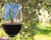 Novela zakona o zakona o vinu v gostinskih lokalih prepoveduje točenje neustekleničenih vin 